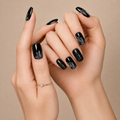 Halloween Midnight Spider Web 🕷️🖤